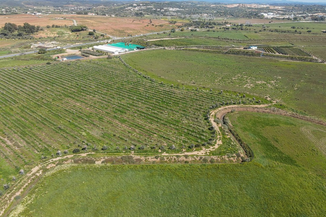 Farm Ranch in Sao Goncalo de Lagos, Algarve, Portugal 5 - 13642437