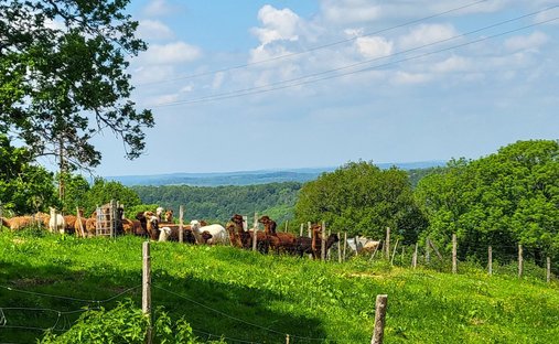 Castle for Sale in Villefranche-de-Rouergue, Occitanie, France