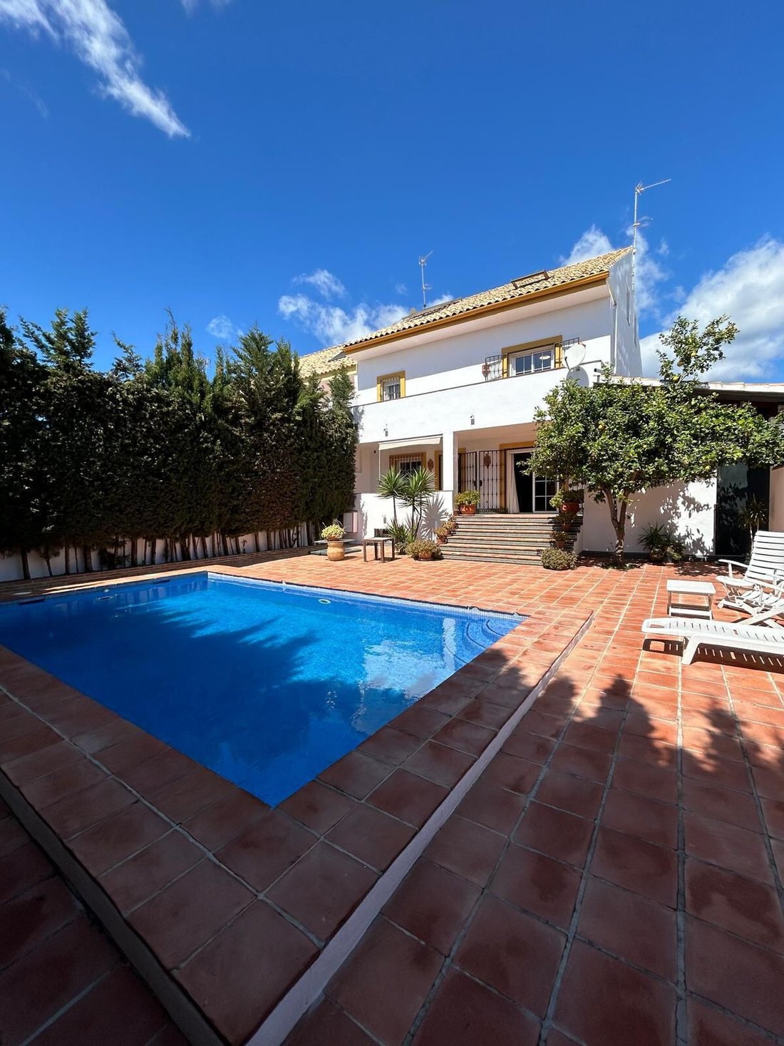 House in San Pedro de Alcantara, Andalusia, Spain 1 - 15674407