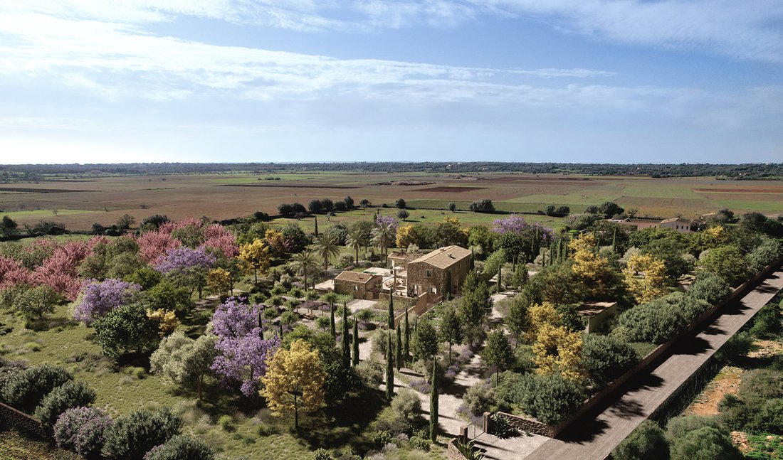 Finca in Santanyi, Balearic Islands, Spain 5 - 15678732