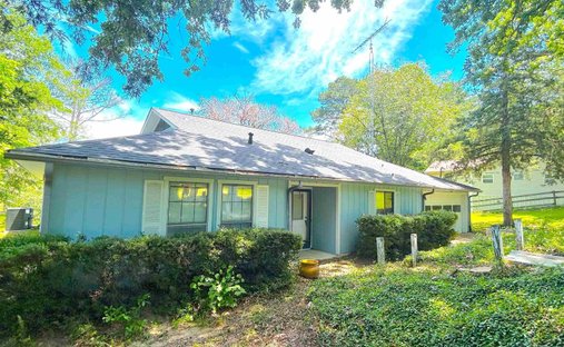 House in Palestine, Texas, United States 1