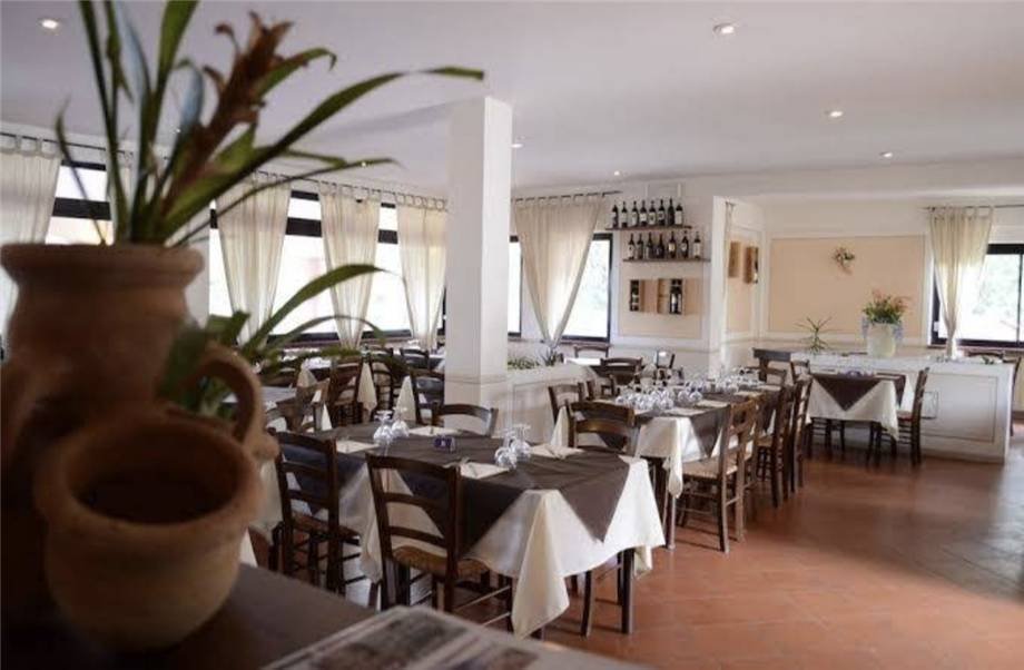 Marciana Marina, Tuscany, Italy 4 - 15677293