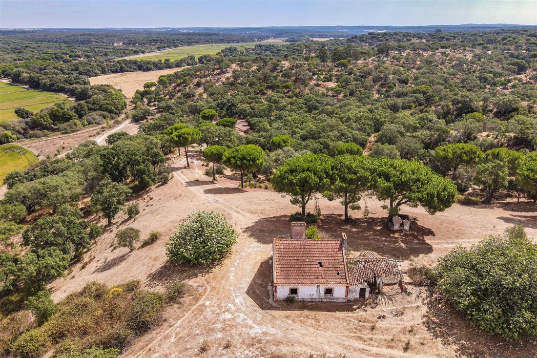 Farm Ranch in Cabrela, Évora District, Portugal 1 - 12237375