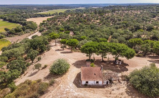 Azienda agricola a Cabrela, Distretto di Évora, Portogallo 1