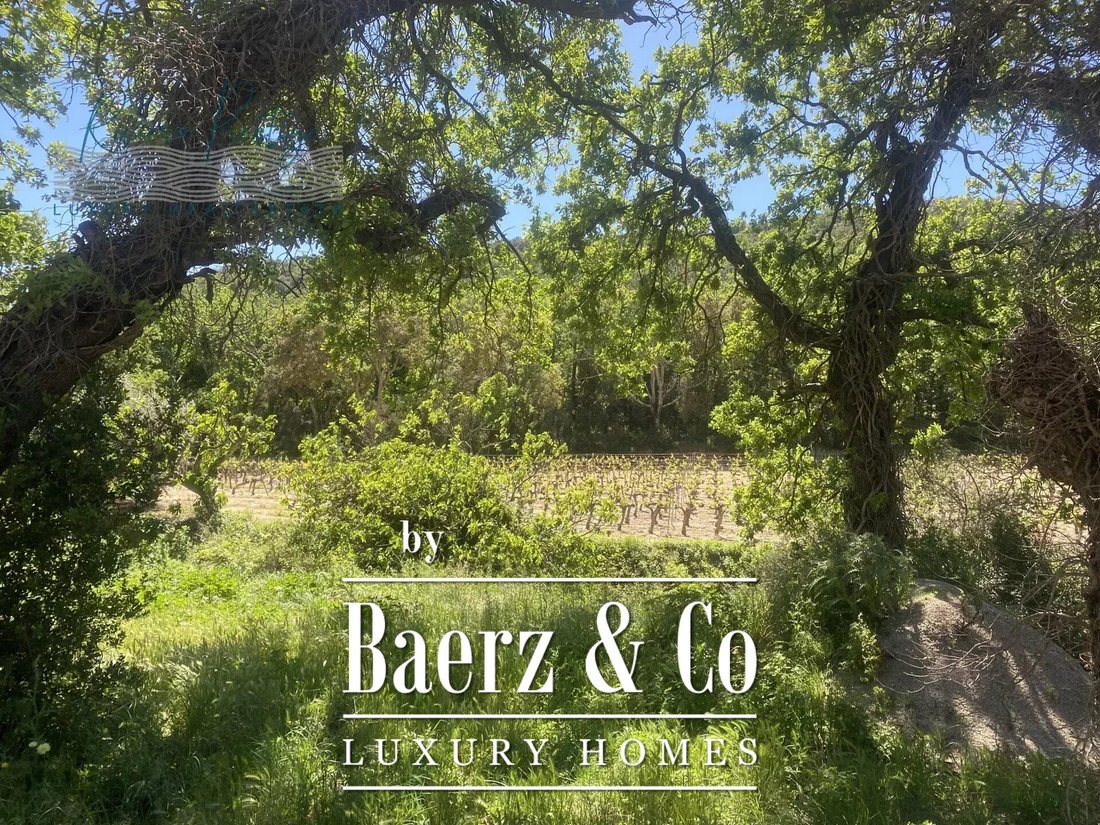Farm Ranch in Grimaud, Provence-Alpes-Côte d'Azur, France 5 - 15676582