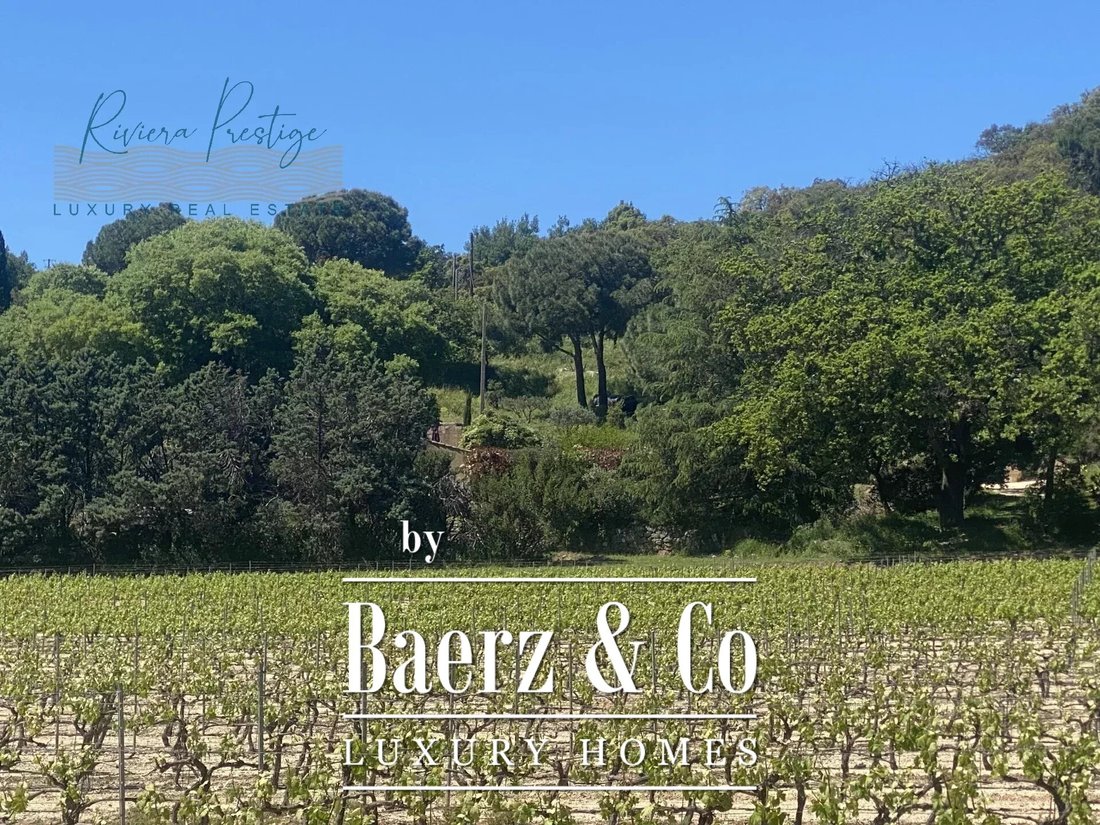 Farm Ranch in Grimaud, Provence-Alpes-Côte d'Azur, France 2 - 15676582