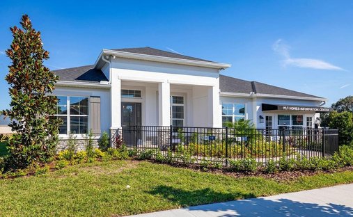 House in Oviedo, Florida, United States 1