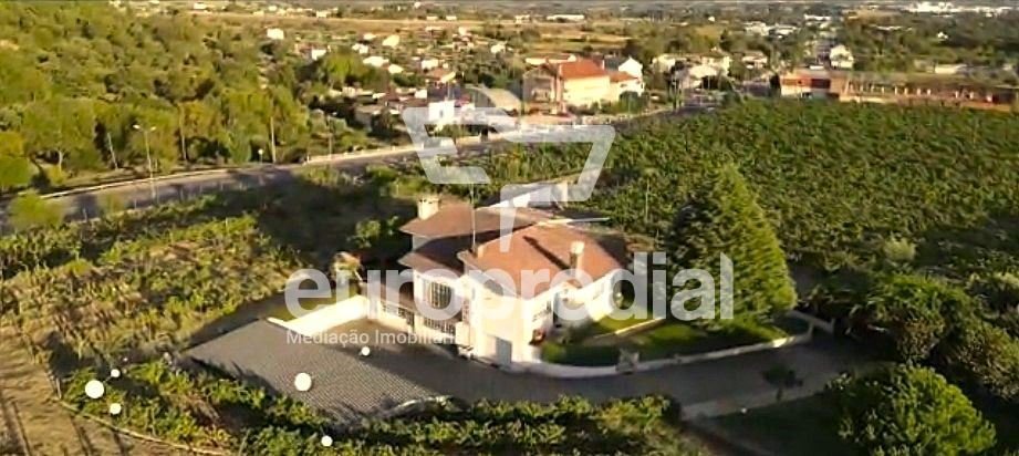 Farm Ranch in Alcaria, Castelo Branco District, Portugal 3 - 15677256