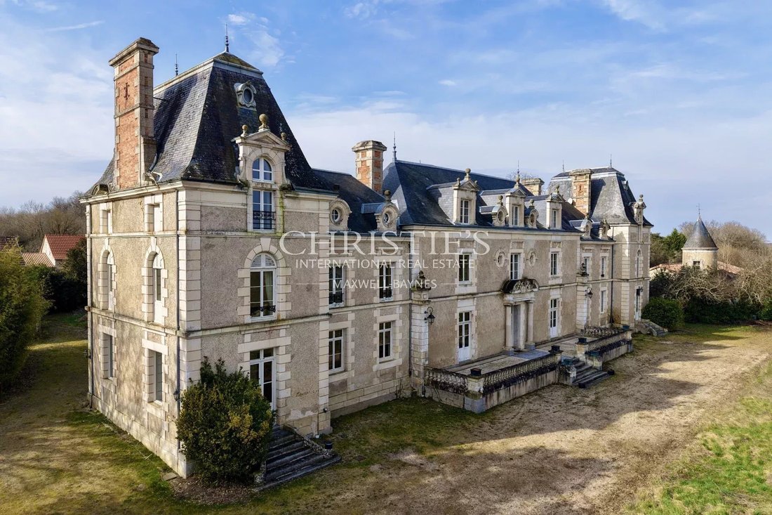 Castle in Dienne, Nouvelle-Aquitaine, France 5 - 15674271