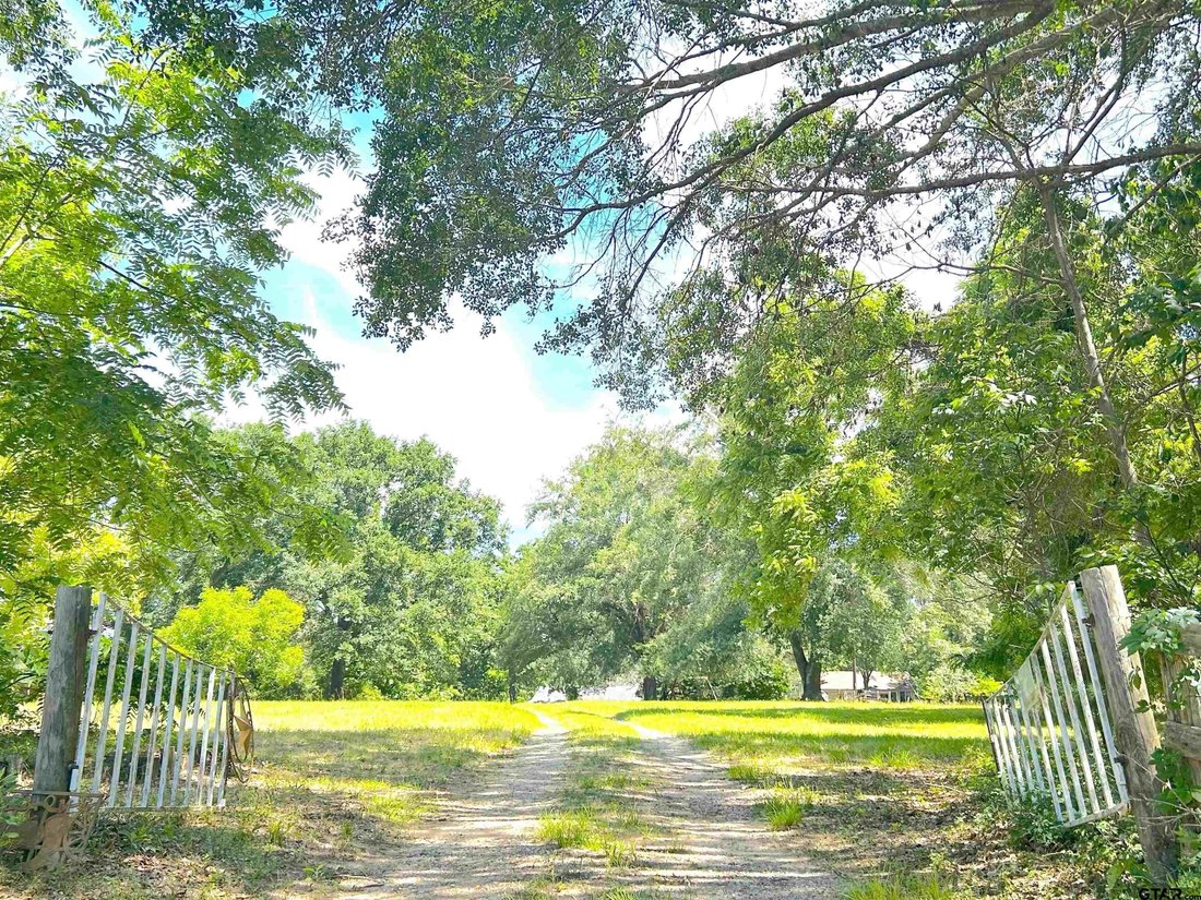 House in Palestine, Texas, United States 2 - 15678695