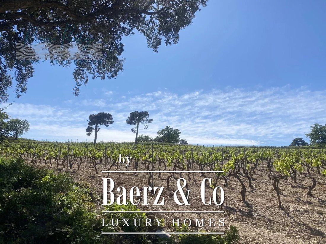 Farm Ranch in Grimaud, Provence-Alpes-Côte d'Azur, France 1 - 15676582