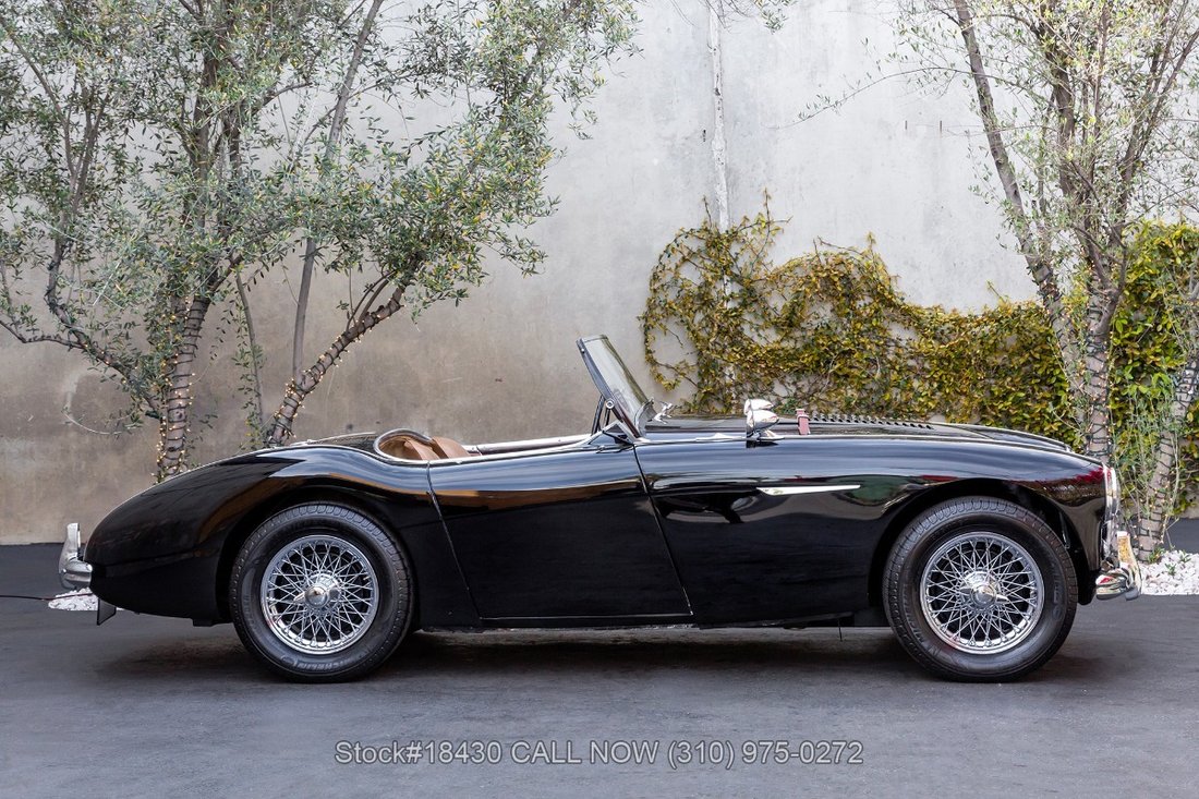 Austin-Healey 100-4 in Los Angeles, CA 4 - 15674339