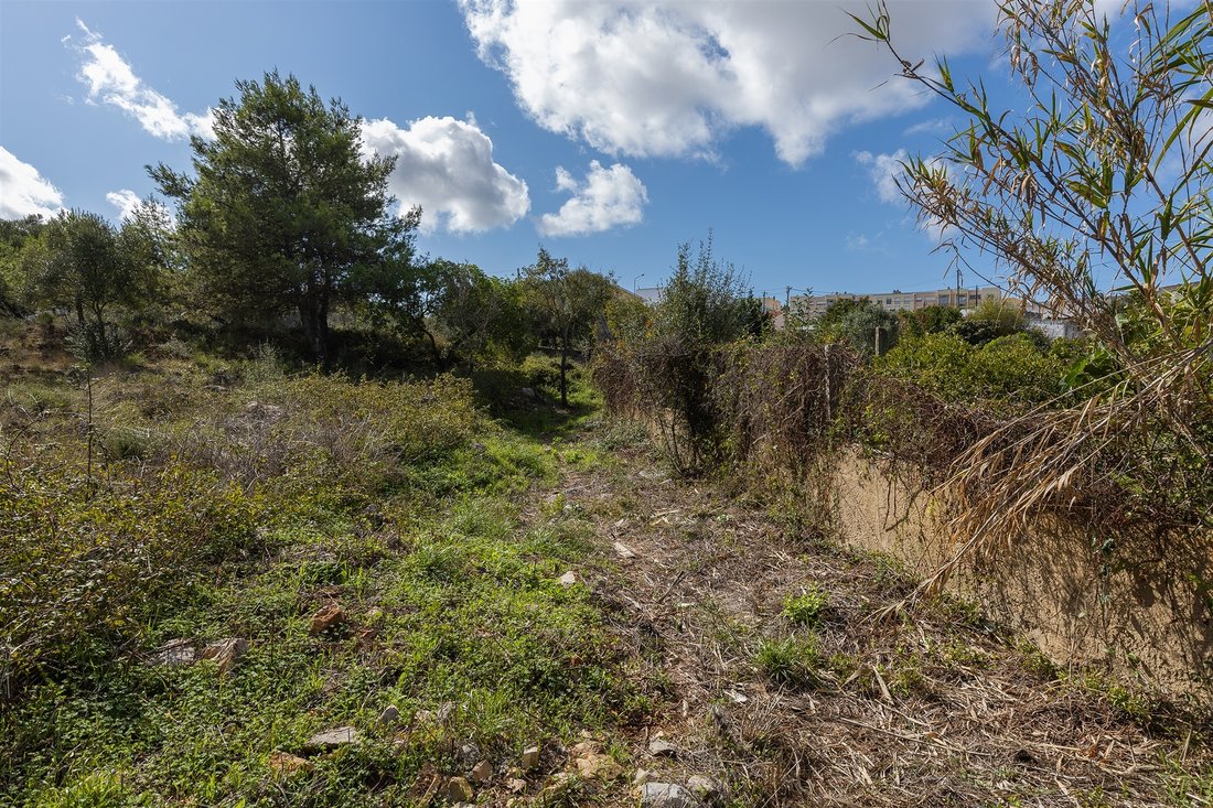 Land in Alcabideche, Lisbon, Portugal 5 - 13343009