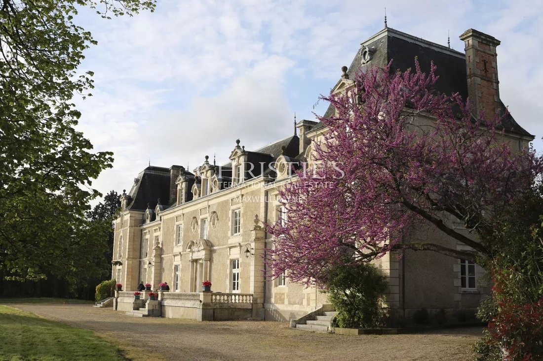 Castle in Dienne, Nouvelle-Aquitaine, France 3 - 15674271