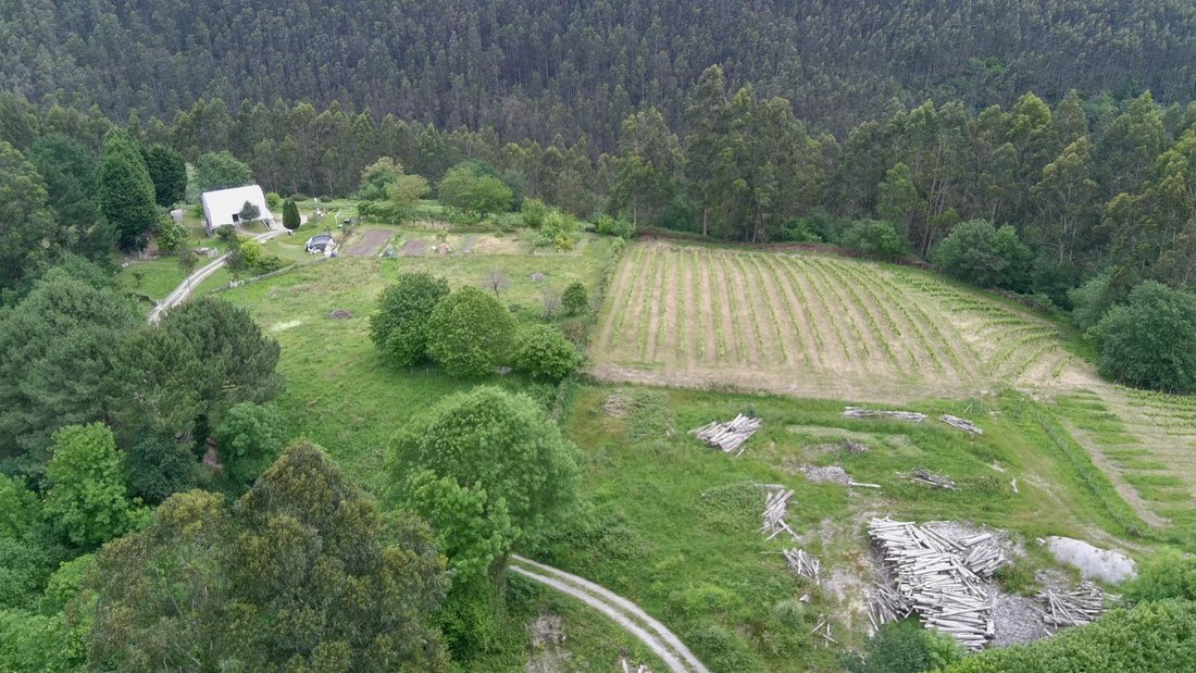 Land in Mungia, Basque Country, Spain 4 - 15681706