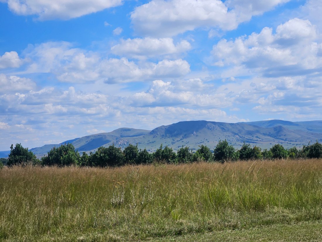 Farm Ranch in eManzana, Mpumalanga, South Africa 5 - 15679654