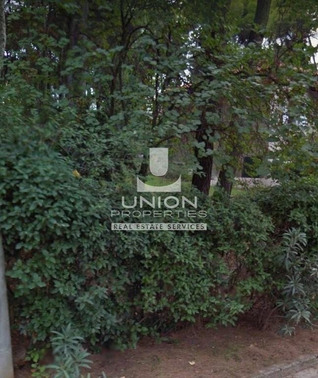 Land in Ekali, Attica, Greece 4 - 15679407