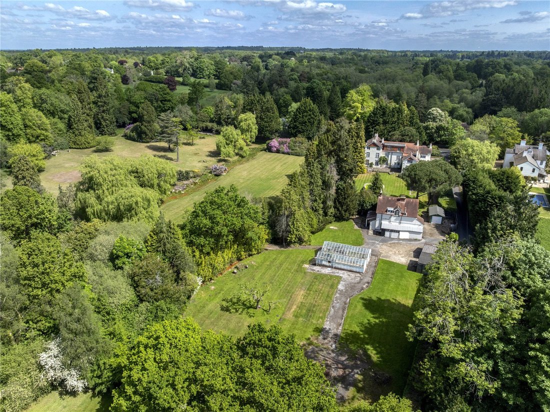 House in Ascot, England 4 - 15679155