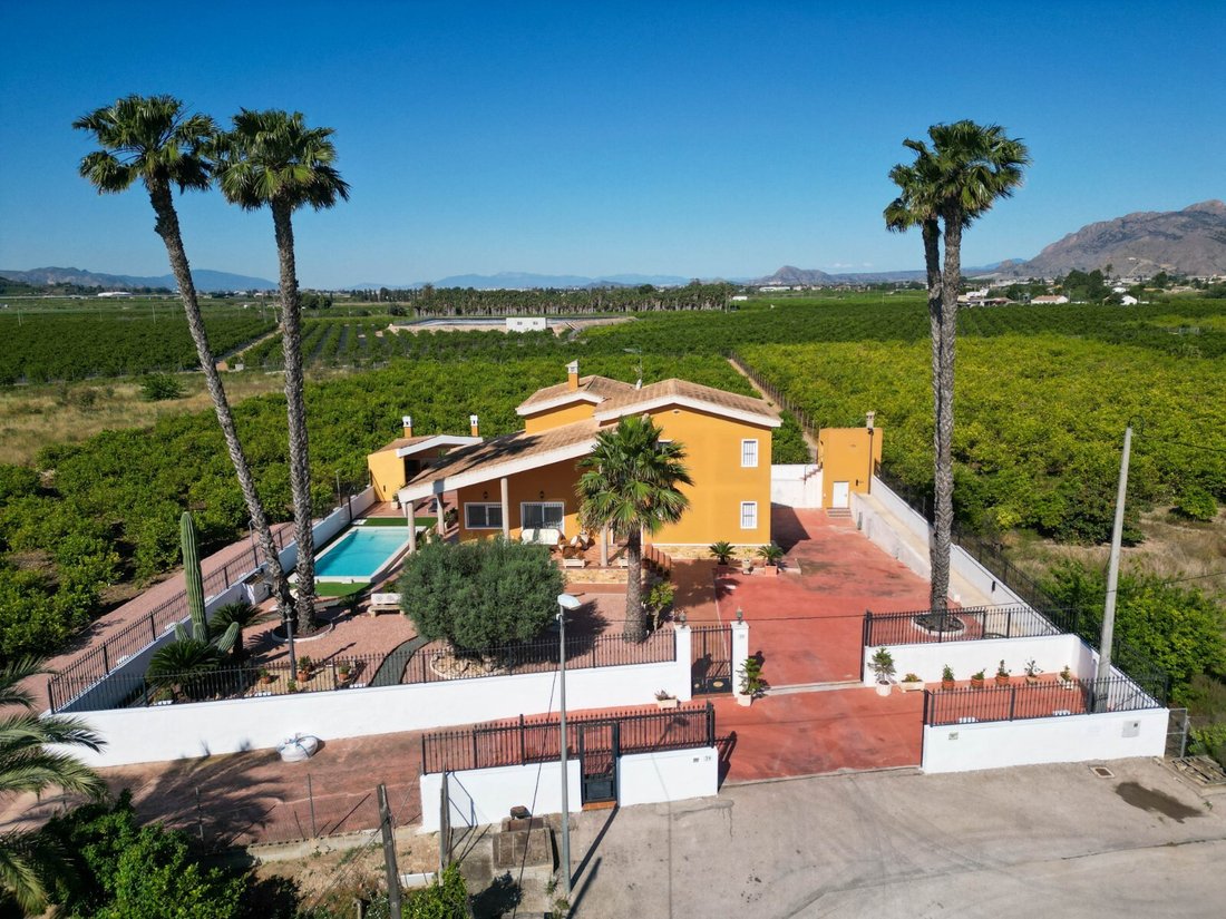 Finca in Orihuela, Valencian Community, Spain 1 - 14275550