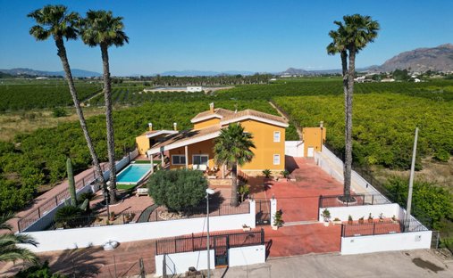 Finca à Orihuela, Valence, Espagne 1