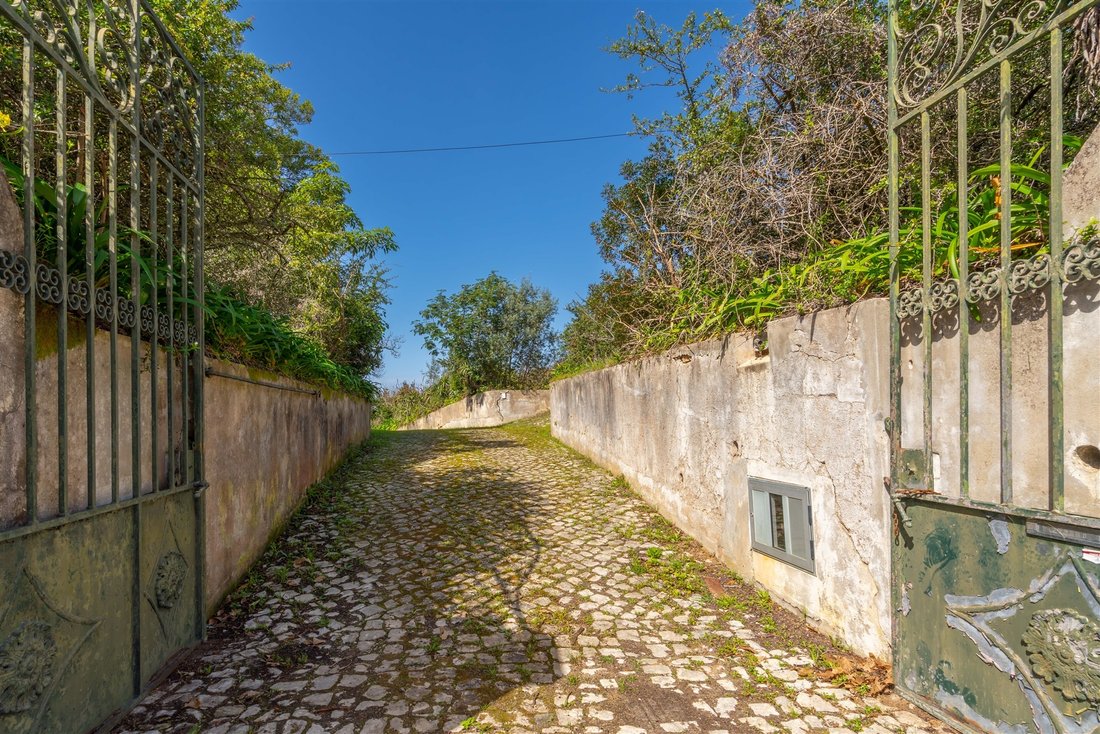 Farm Ranch in Buarcos e Sao Juliao, Coimbra District, Portugal 4 - 12655153