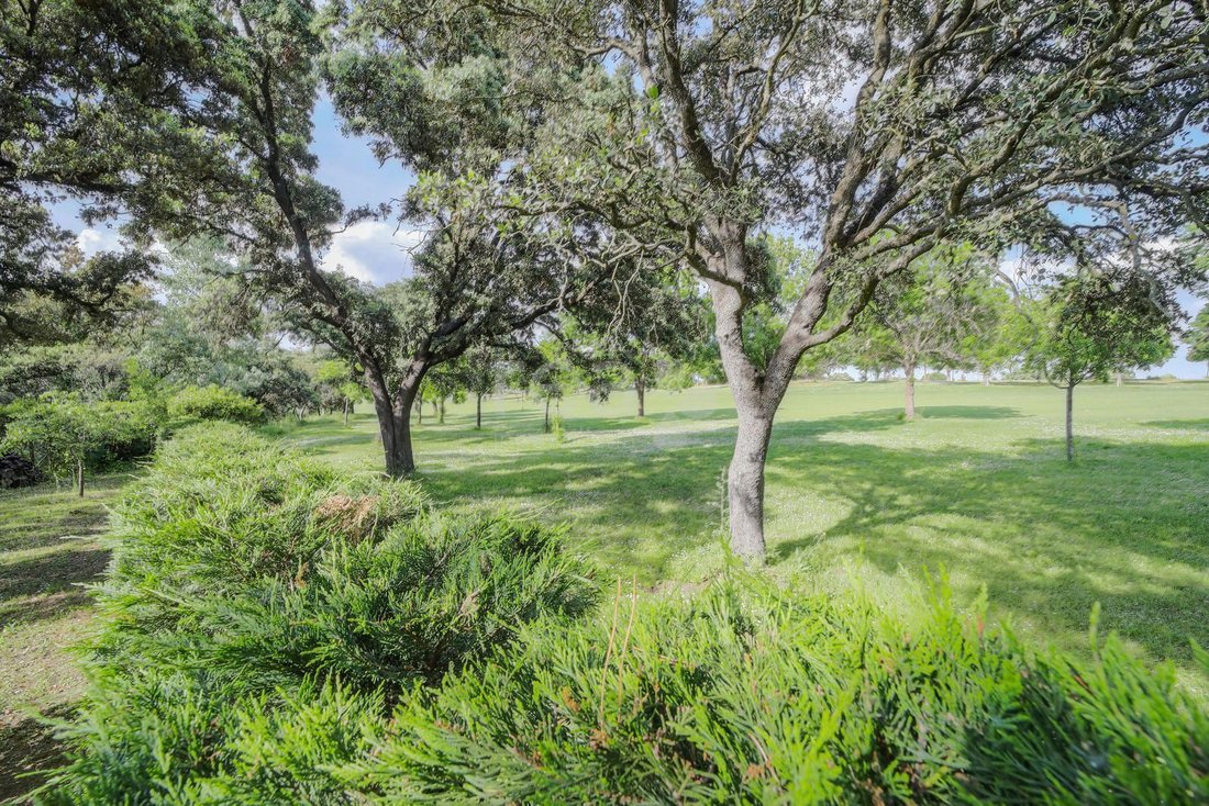 Chalet in Ciudalcampo, San Sebastián de los Reyes, Comunidad de Madrid 3 - 14297207