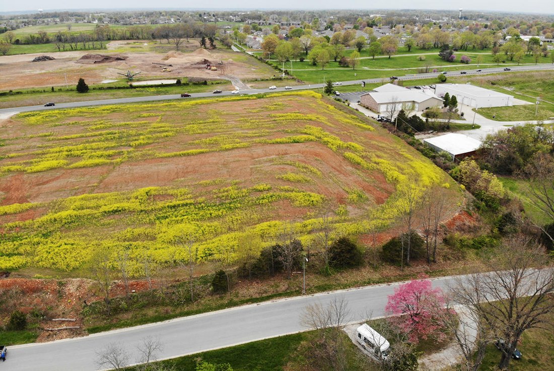 Land in Nixa, Missouri, United States 4 - 15680942