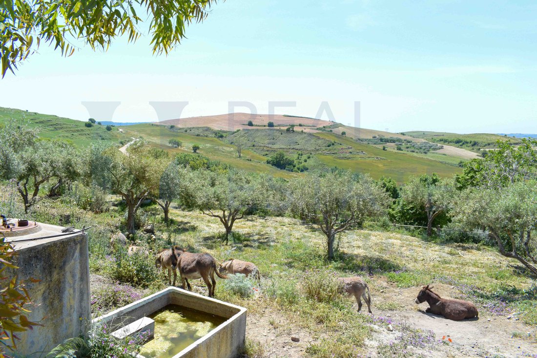 Villa in Giarratana, Sicily, Italy 5 - 15679552