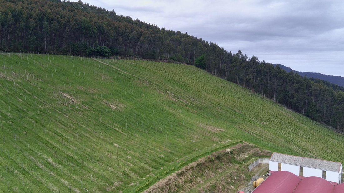 Land in Mungia, Basque Country, Spain 5 - 15681706