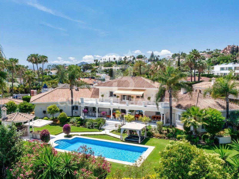 House in Nueva Andalucia, Marbella, Spain 1 - 15408280