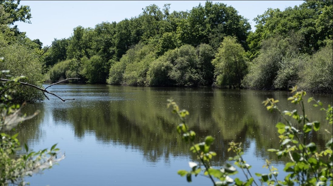 Whispers of the Loire: A Timeless Château Just Beyond Paris