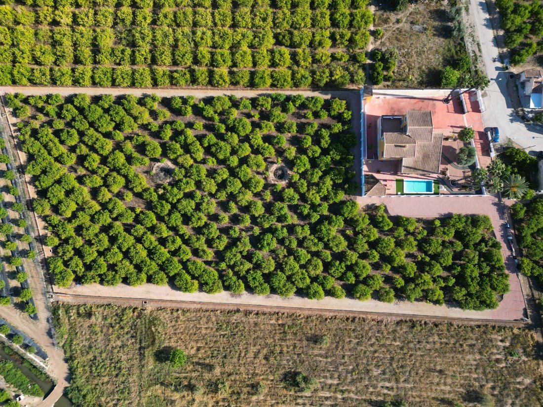 Finca in Orihuela, Valencian Community, Spain 3 - 14275550