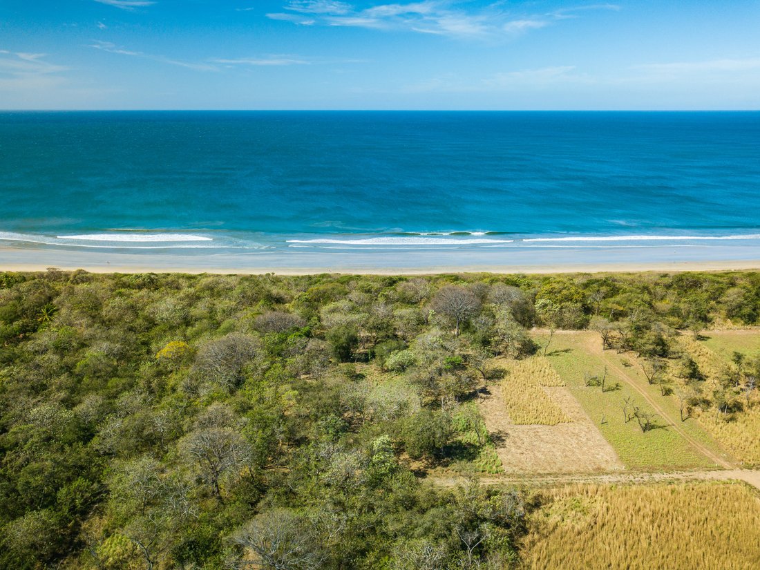 Land in Playa Grande, Guanacaste Province, Costa Rica 2 - 15681502