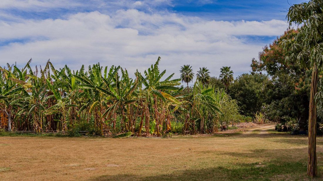 Land in San José del Cabo, Baja California Sur, Mexico 5 - 15681550