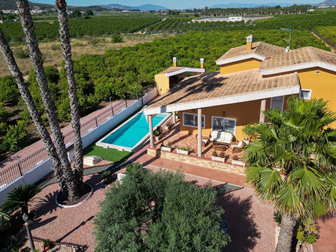 Finca in Orihuela, Valencian Community, Spain 2 - 14275550