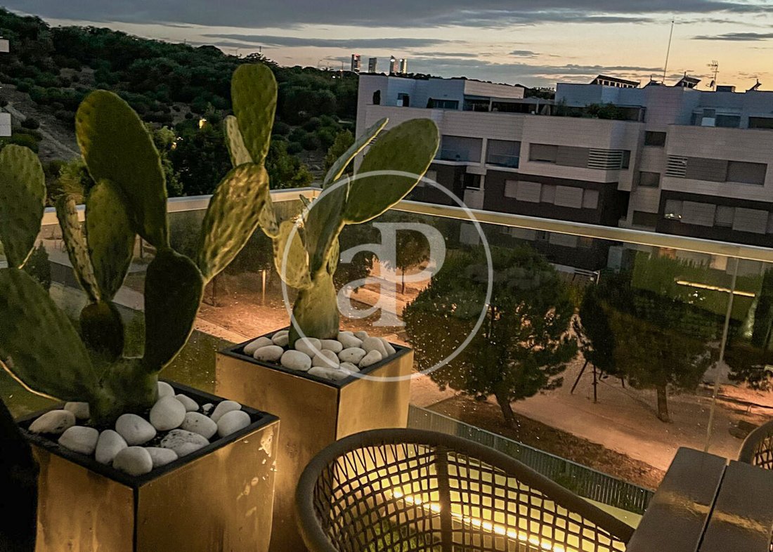 Apartment in La Moraleja, Alcobendas, Comunidad de Madrid 5 - 15683285