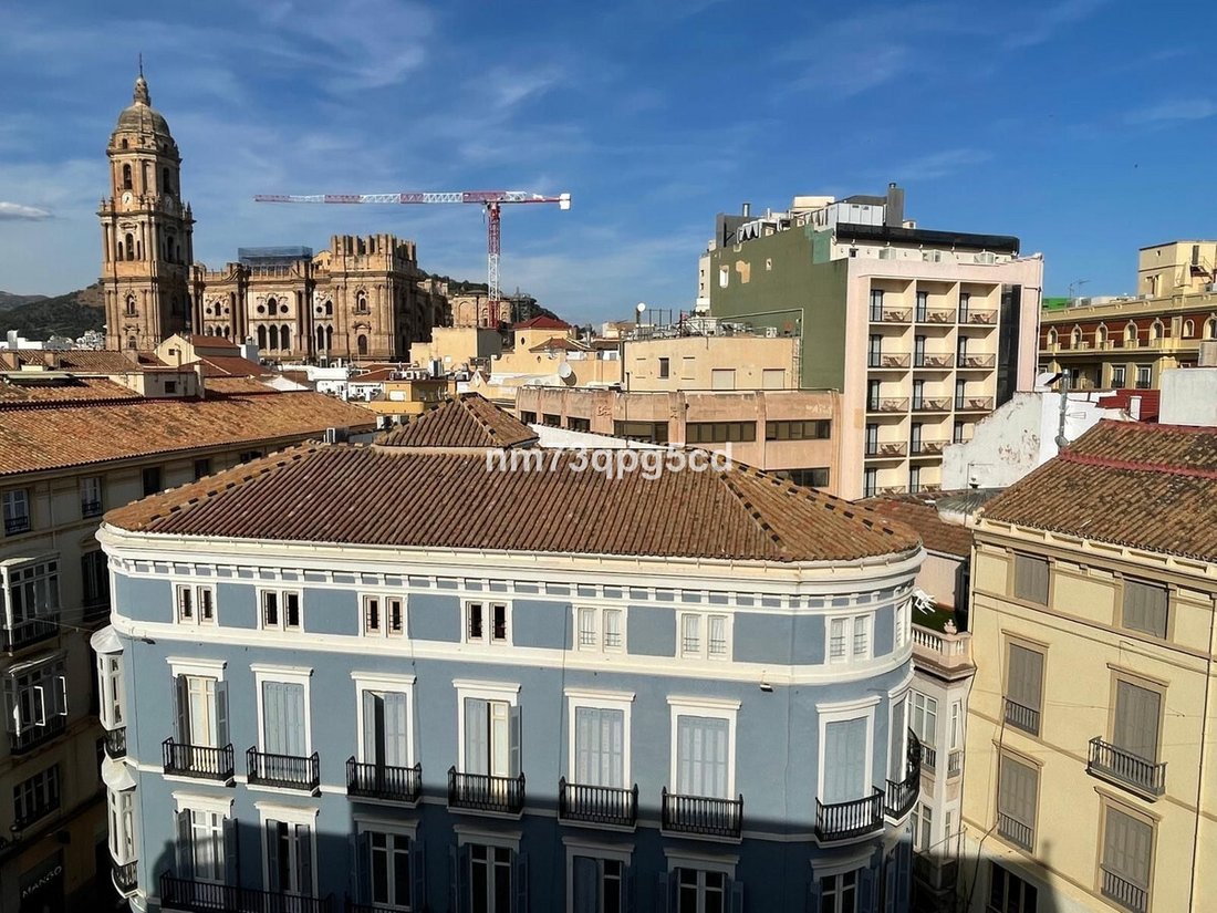 Apartment in Centro, Malaga, Spain 5 - 15421209