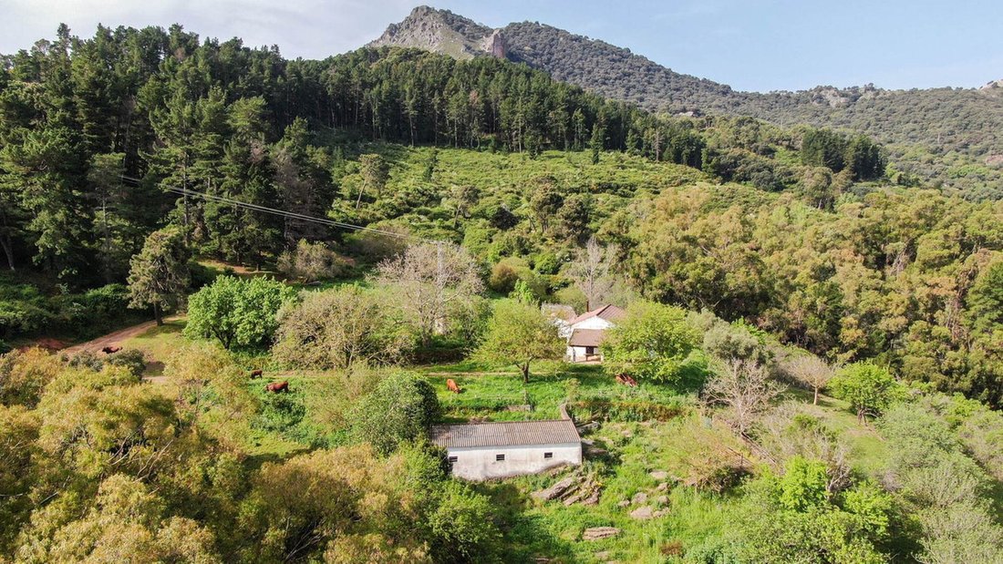 Finca in Gaucin, Andalusia, Spain 1 - 15688305