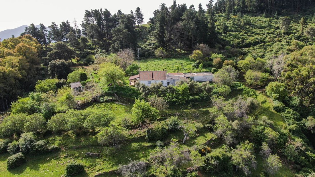 Finca in Gaucin, Andalusia, Spain 3 - 15688305