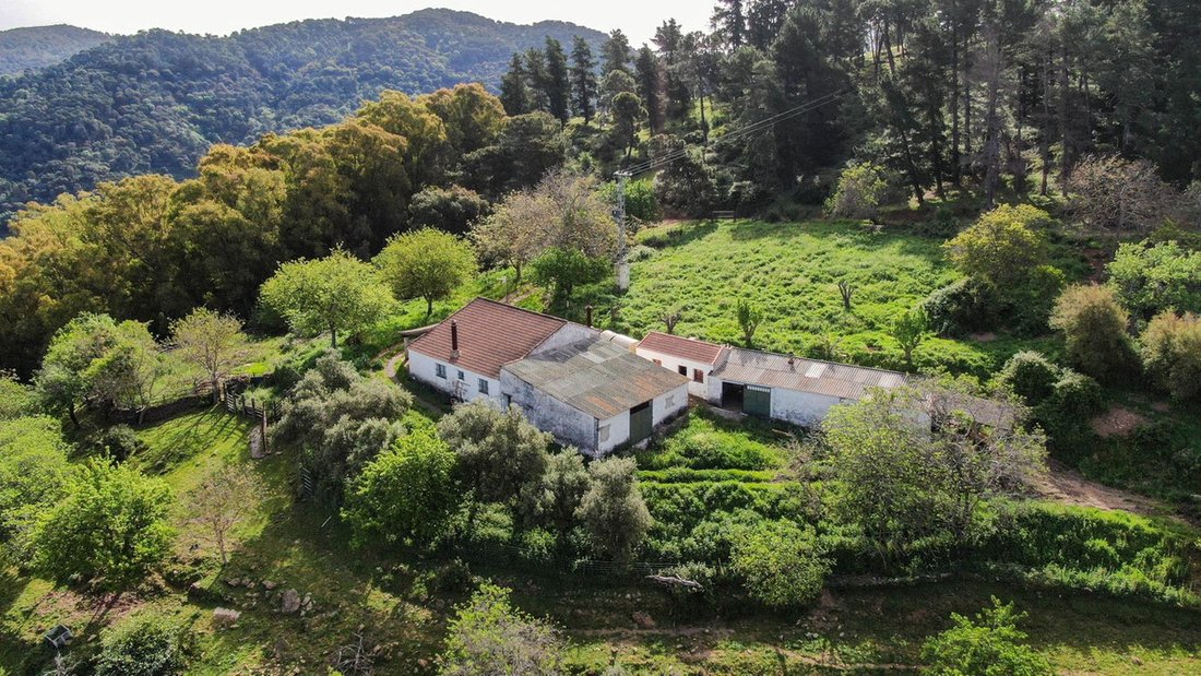 Finca in Gaucin, Andalusia, Spain 4 - 15688305