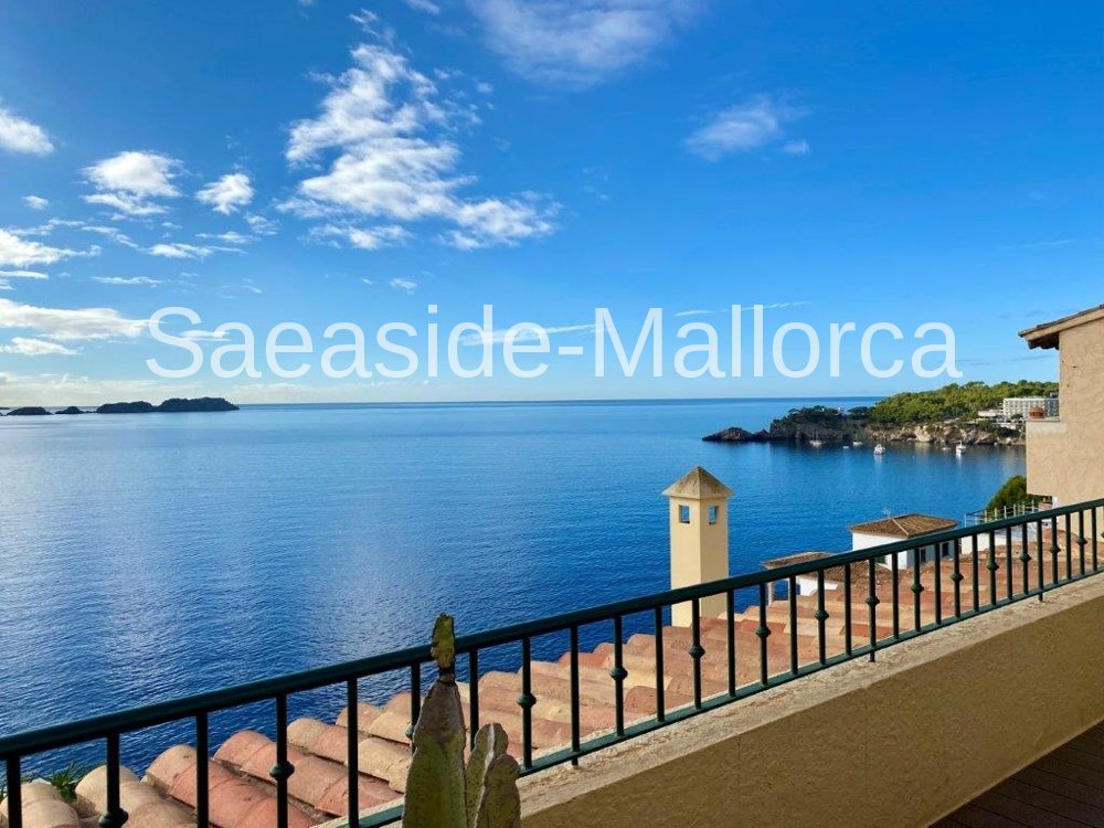 Apartment in Cala Fornells, Calvia, Balearic Islands 2 - 15691877