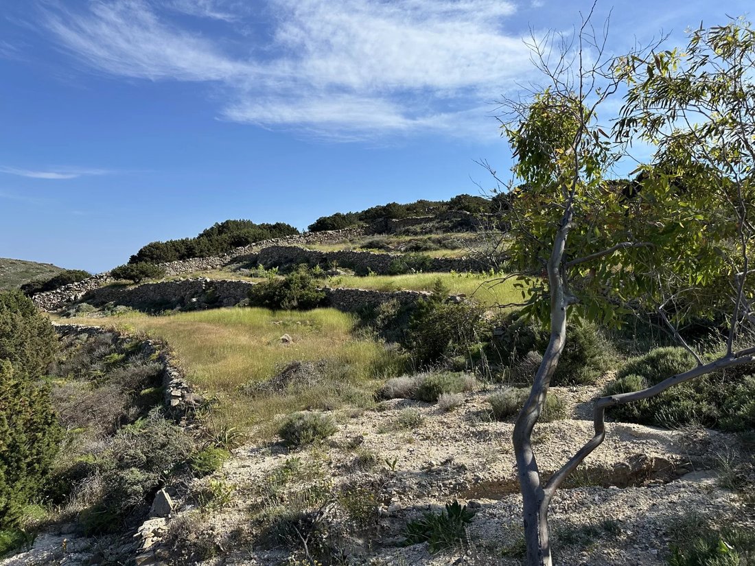 Land in Paros, Aegean, Greece 2 - 15689249