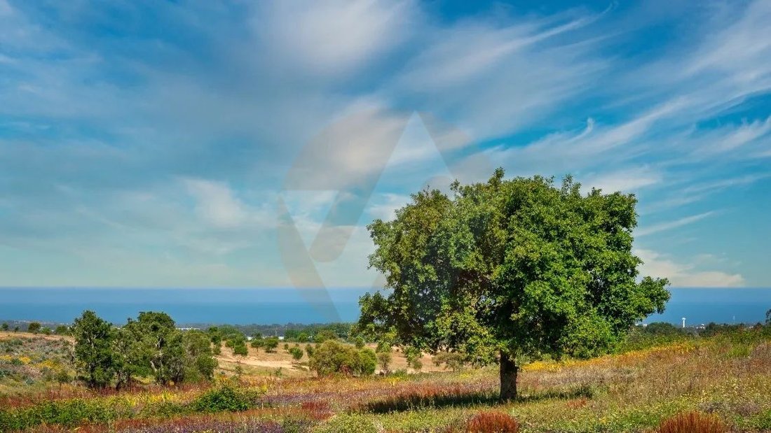 Villa in S.Teotónio, Beja District, Portugal 4 - 15690904