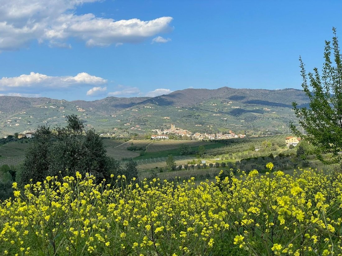 Villa in Toiano - La Stella - Mercatale, Vinci, Tuscany 2 - 15689626