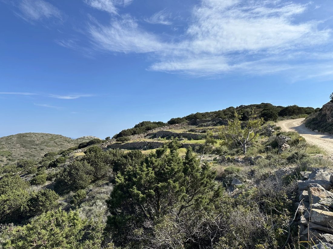 Land in Paros, Aegean, Greece 3 - 15689249