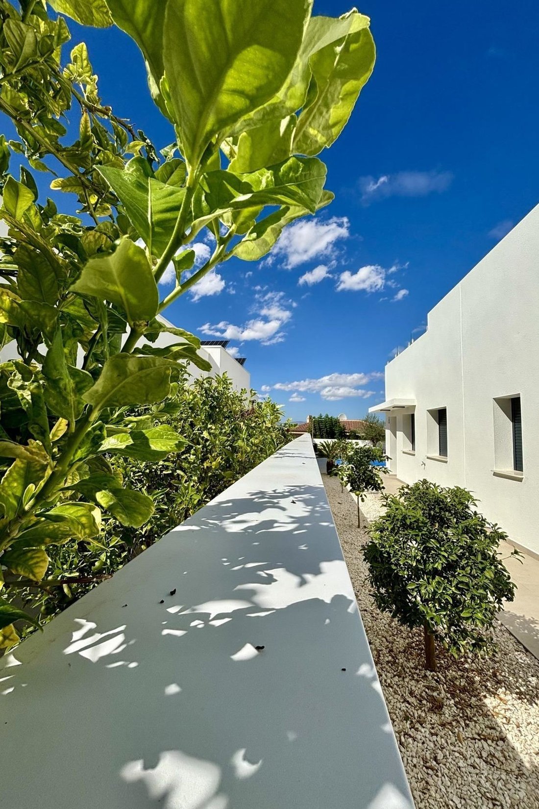 Villa in Benijofar, Valencian Community, Spain 5 - 15689282