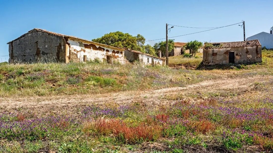 Villa in S.Teotónio, Beja District, Portugal 3 - 15690904