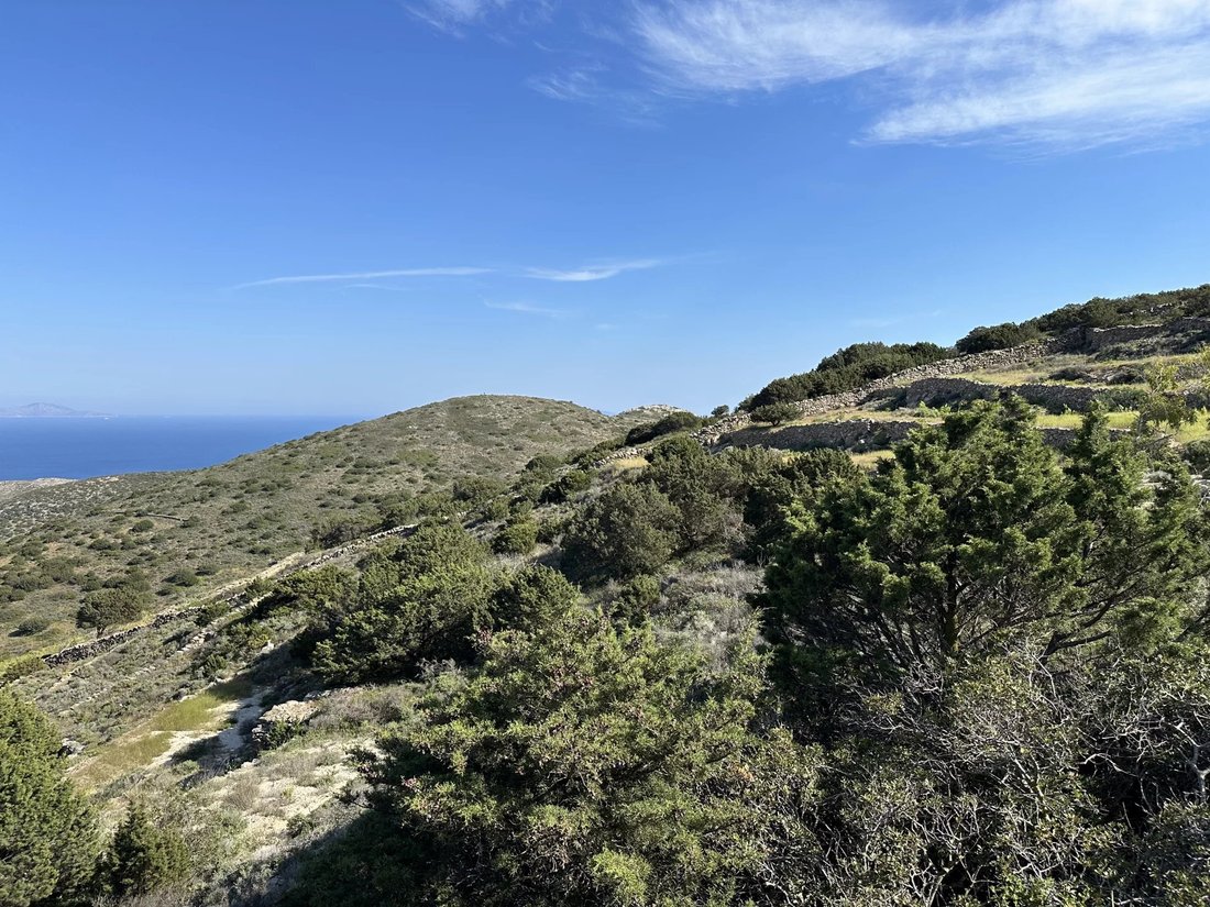 Land in Paros, Aegean, Greece 5 - 15689249