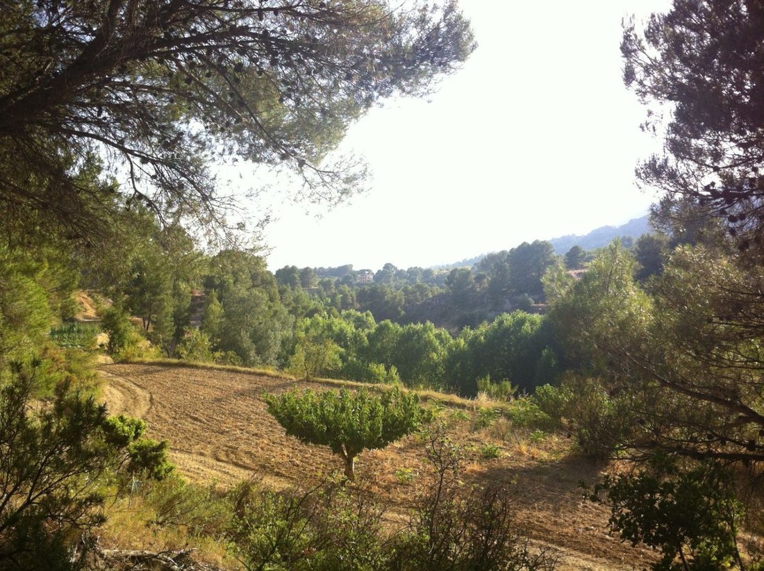Farm Ranch in la Torre de les Macanes / Torremanzanas, Valencian Community, Spain 5 - 15688856