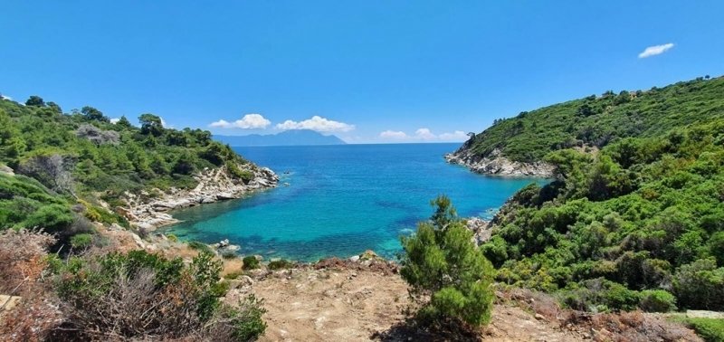 Land in Halkidiki, Macedonia and Thrace, Greece 4 - 14524860